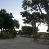 Parque de Jesús (1)